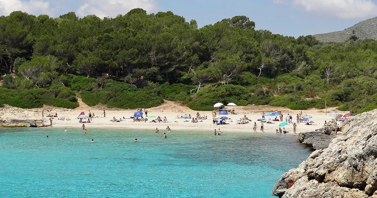 Cala virgen de arena clara y aguas cristalinas rodeada de abundante vegetacion en Cala Varques