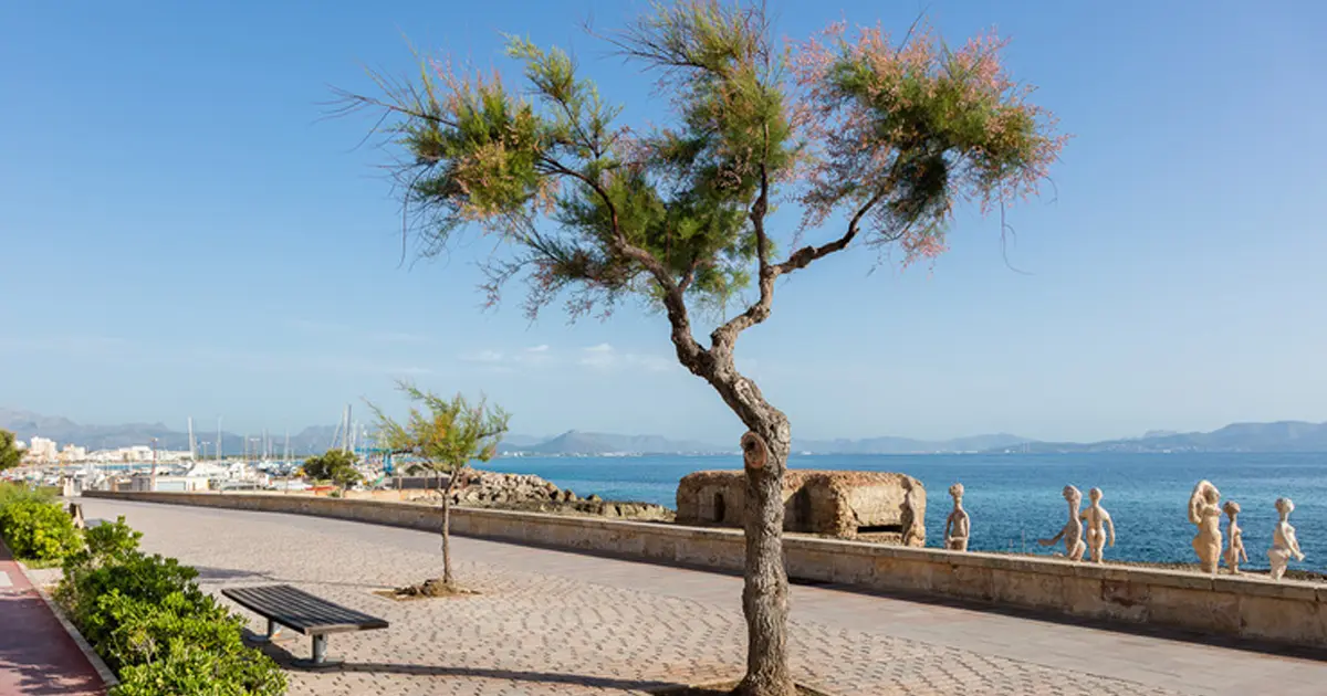 Paseo marítimo y playa urbana de Can Picafort en el norte de Mallorca