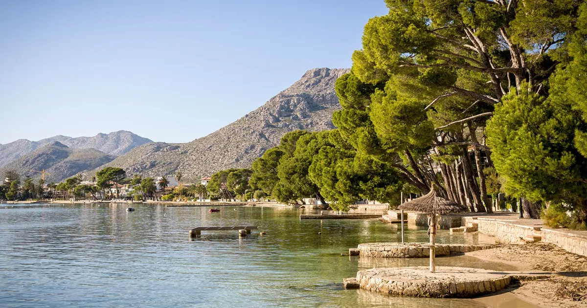 Vista de la bahía y del Paseo de los Pinos en Port de Pollença Mallorca