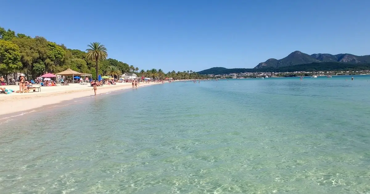 Playa de Alcúdia en Mallorca